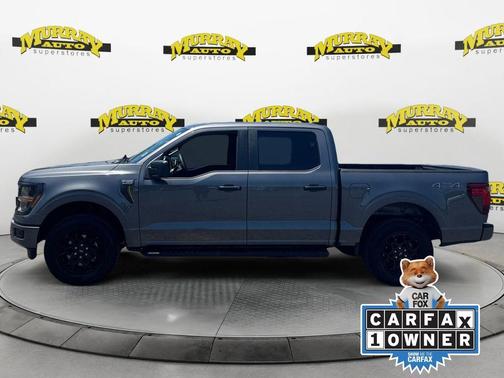 Gray Metallic 2025 Ford F-150 STX