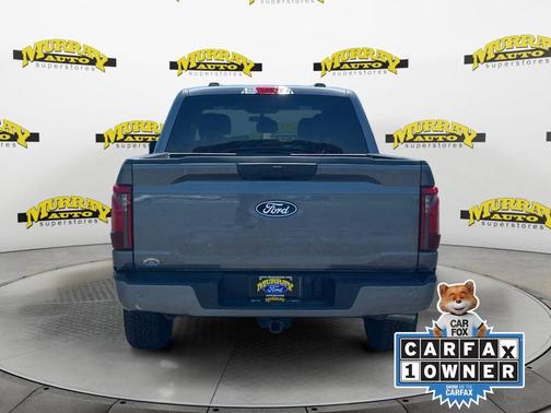 Gray Metallic 2025 Ford F-150 STX