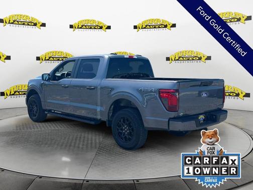 Gray Metallic 2025 Ford F-150 STX