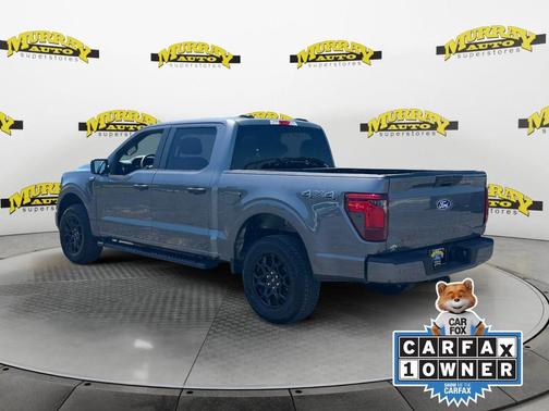 Gray Metallic 2025 Ford F-150 STX
