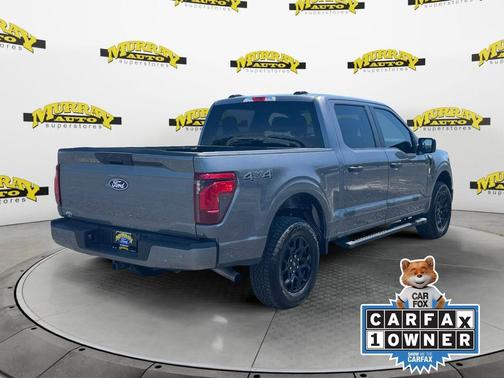 Gray Metallic 2025 Ford F-150 STX