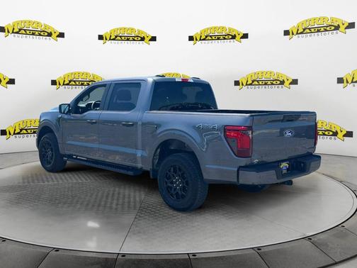 Gray Metallic 2025 Ford F-150 STX