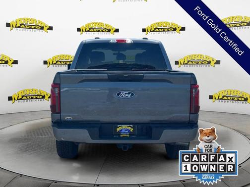Gray Metallic 2025 Ford F-150 STX