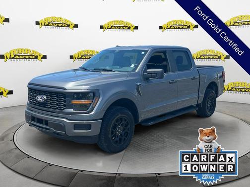 Gray Metallic 2025 Ford F-150 STX