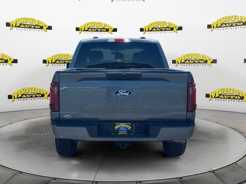 Gray Metallic 2025 Ford F-150 STX