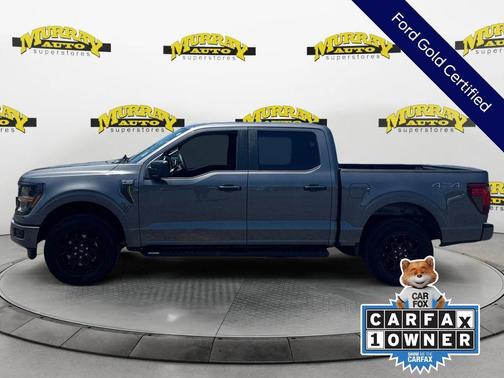 Gray Metallic 2025 Ford F-150 STX