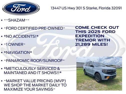 Gray Metallic 2025 Ford Expedition Tremor