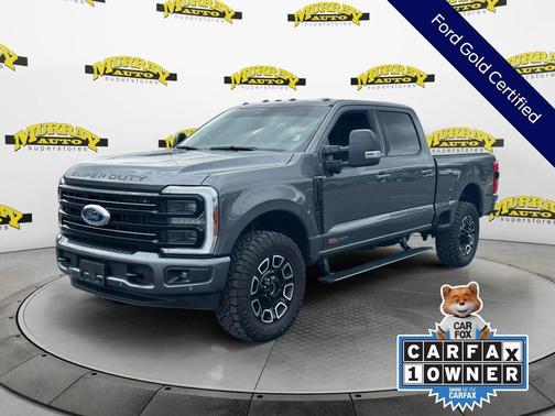 Gray Metallic 2026 Ford F-250 Platinum