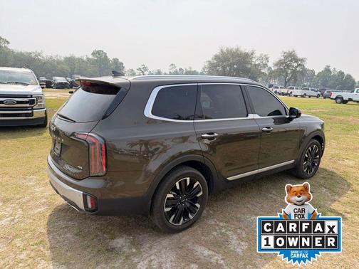 Dark Moss 2024 Kia Telluride SX