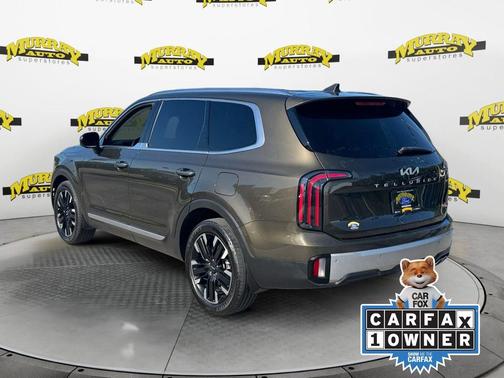Dark Moss 2024 Kia Telluride SX