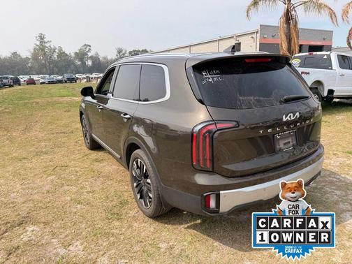 Dark Moss 2024 Kia Telluride SX