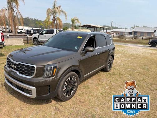Dark Moss 2024 Kia Telluride SX