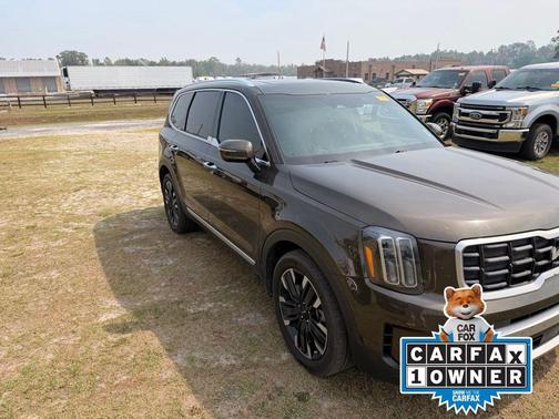 Dark Moss 2024 Kia Telluride SX