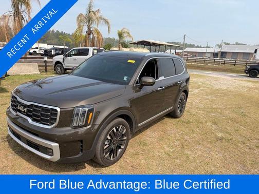 Dark Moss 2024 Kia Telluride SX