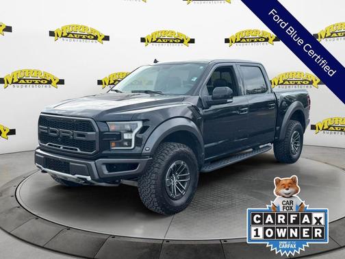 Black Metallic 2019 Ford F-150 Raptor