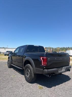 Black Metallic 2019 Ford F-150 Raptor