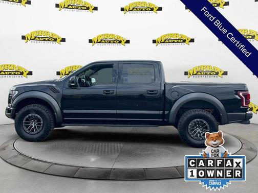 Black Metallic 2019 Ford F-150 Raptor