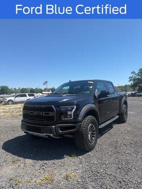 Black Metallic 2019 Ford F-150 Raptor
