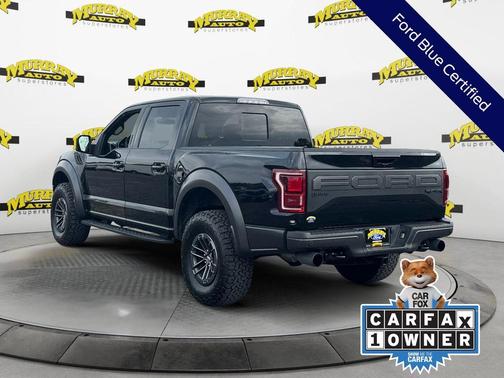 Black Metallic 2019 Ford F-150 Raptor