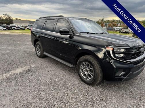 Black Metallic 2025 Ford Expedition Active
