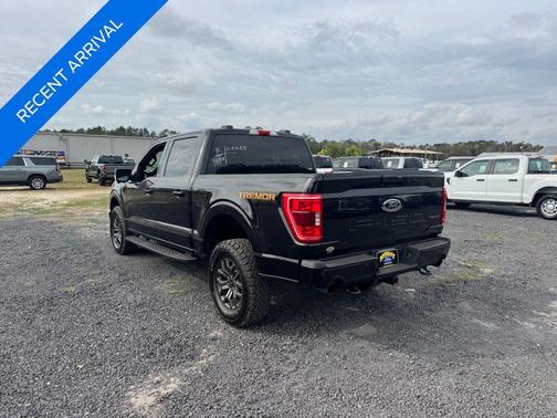 2022 Ford F-150 Tremor