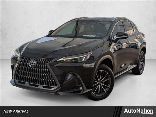 2025 Lexus NX 250 Premium