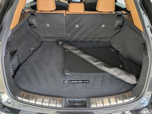 2025 Lexus NX 250 Premium