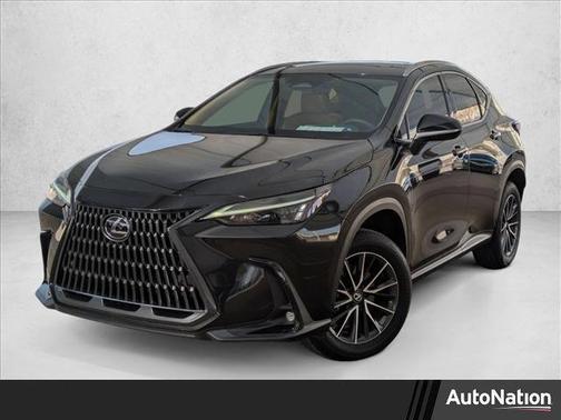 2025 Lexus NX 250 Premium