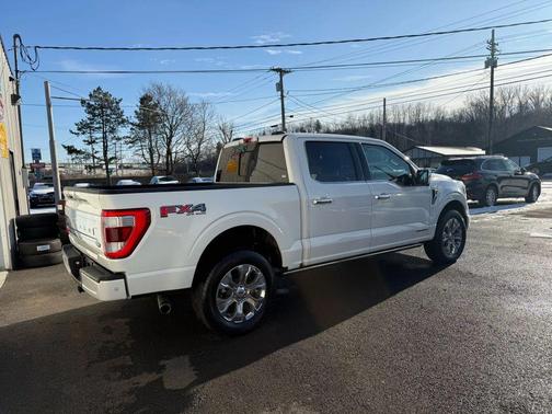2022 Ford F-150 Platinum