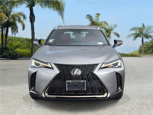2019 Lexus UX 200 F Sport