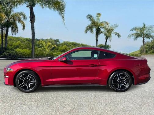 2019 Ford Mustang EcoBoost