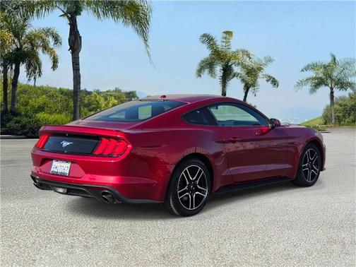 2019 Ford Mustang EcoBoost