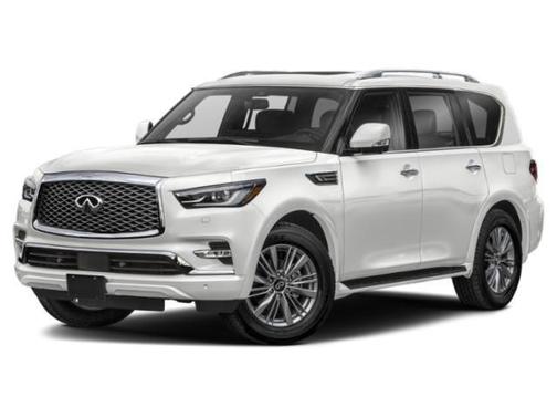 Anthracite Gray 2023 INFINITI QX80 Luxe