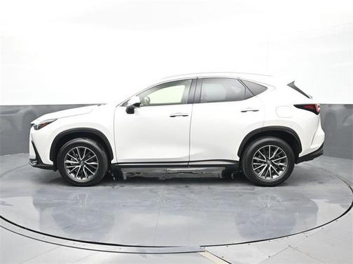 2024 Lexus NX 250 Premium