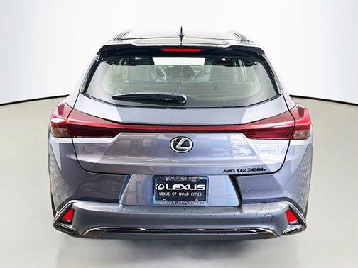 Cloudburst Gray/Obsidian 2026 Lexus UX 300h F SPORT Design