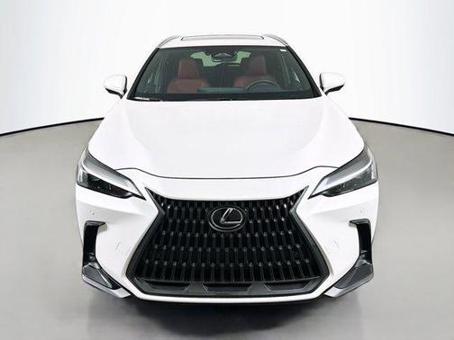 2025 Lexus NX 350 Premium