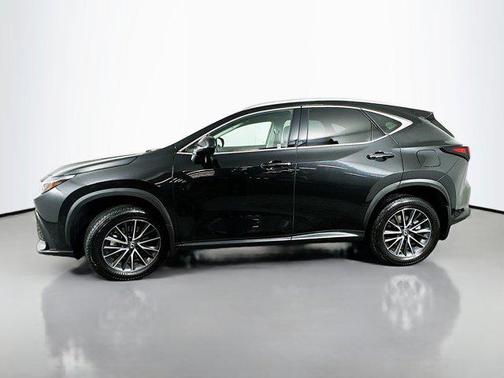 2024 Lexus NX 350h 350h