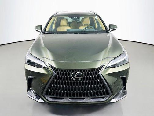 2025 Lexus NX 350 Premium