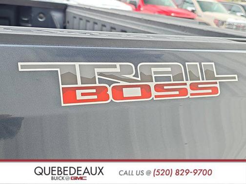 Shadow Gray Metallic 2020 Chevrolet Silverado 1500 LT Trail Boss