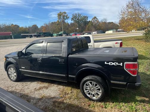 2012 Ford F-150 Platinum