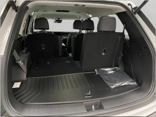 Pearl 2026 Hyundai PALISADE SEL