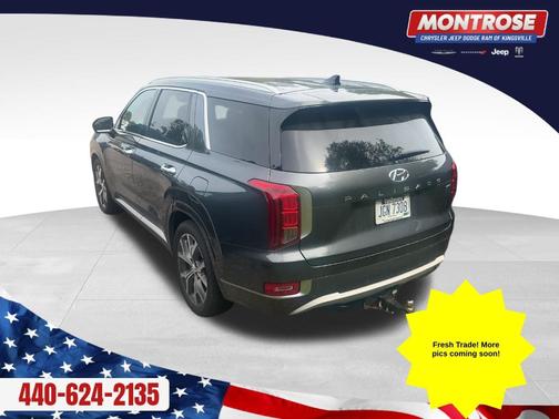 Rainforest 2022 Hyundai PALISADE Limited