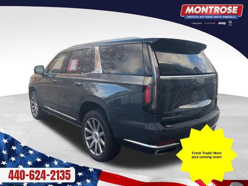 2021 Cadillac Escalade Premium Luxury Platinum