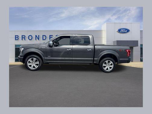 Magnetic Metallic 2015 Ford F-150 Platinum