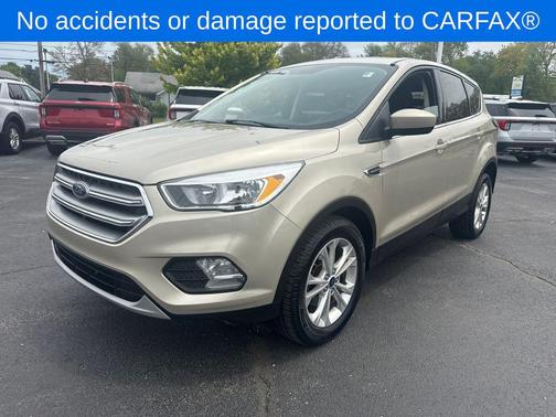 White Gold Metallic 2017 Ford Escape SE