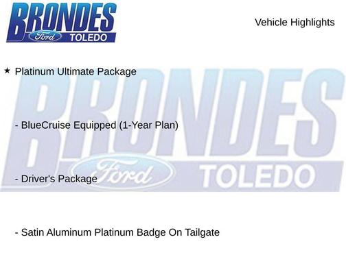 Agate Black Metallic 2025 Ford Expedition Platinum