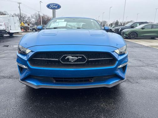Velocity Blue Metallic 2019 Ford Mustang EcoBoost Premium