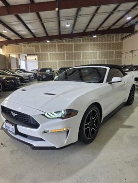 2019 Ford Mustang EcoBoost Premium