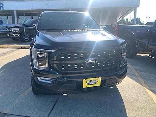 Agate Black Metallic 2022 Ford F-150 Platinum