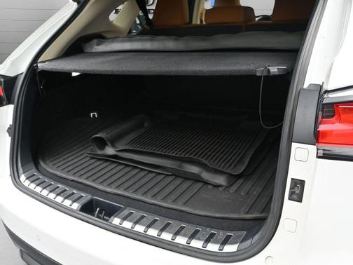 2021 Lexus NX 300h 